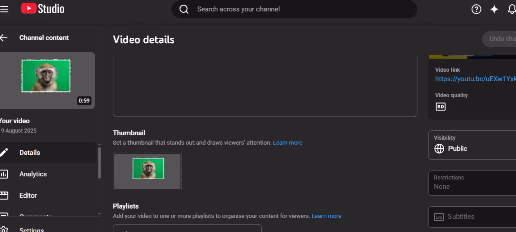 Paper Animator Uploaded to youtube